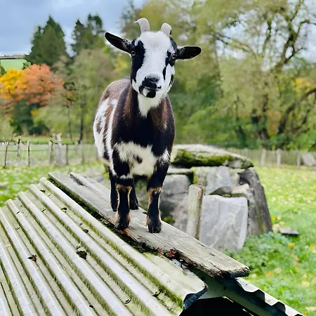 Lejlighed Riekeshof *