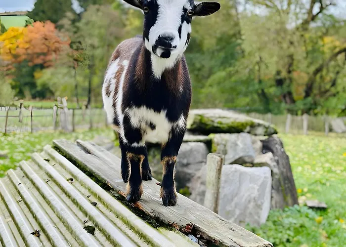 Appartement Riekeshof *