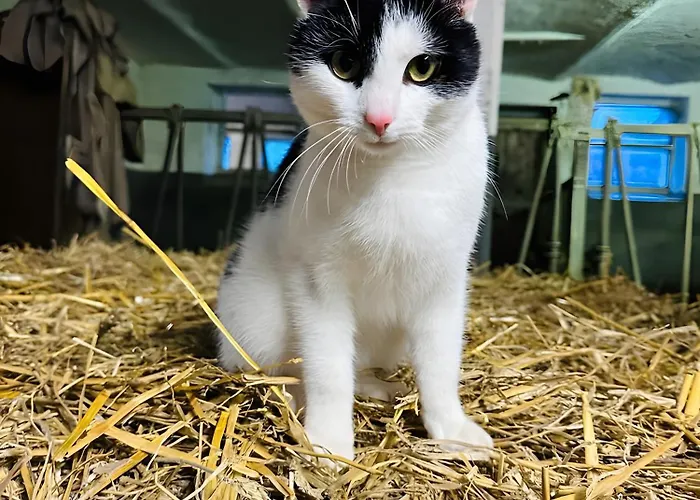 Riekeshof * Schmallenberg