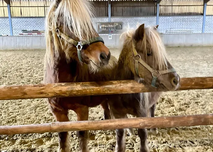 Διαμέρισμα Riekeshof