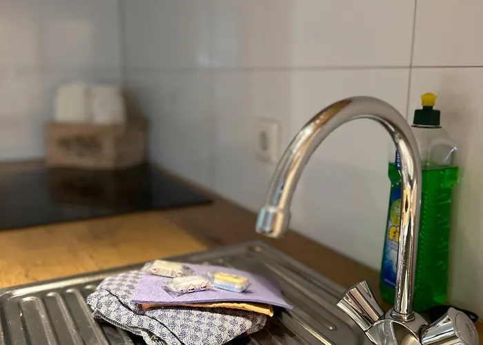 Riekeshof Appartement *